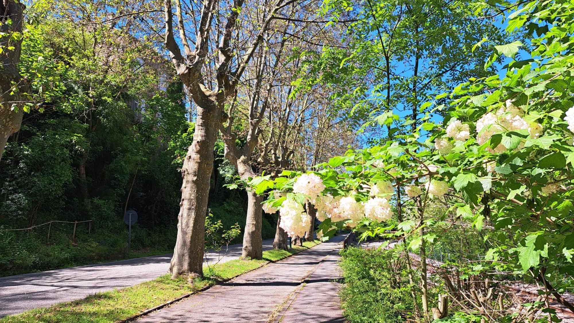 Du Doubs Au Doux Vila Lamastre Exterior foto